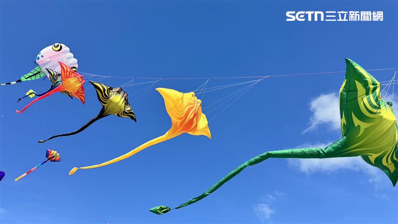 台南風箏嘉年華雙十登場　「菜奇鴨」首飛