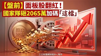 面板股翻紅！國家隊砸2065萬加碼「這檔」