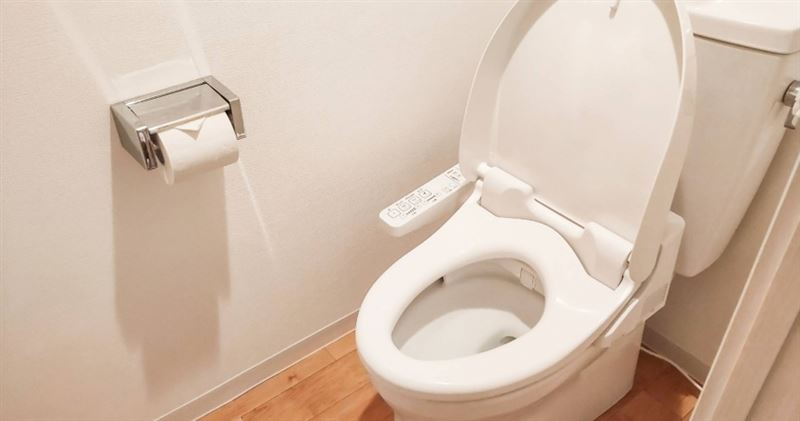何建霖提醒,如果出現便血、排便習慣改變、體重減輕、貧血等症狀,建議安排乙狀結腸鏡或大腸鏡檢查。(示意圖/photoAC)