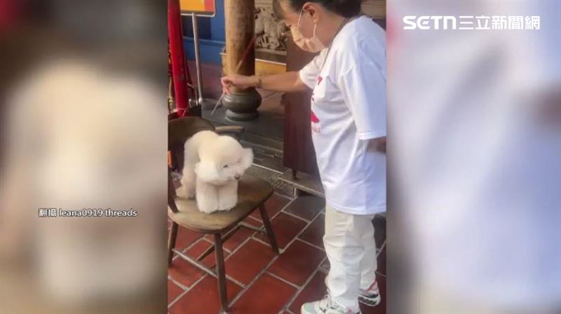 如今廟方決定寵物收驚喊卡,以後毛小孩想求心安也只能另找地方