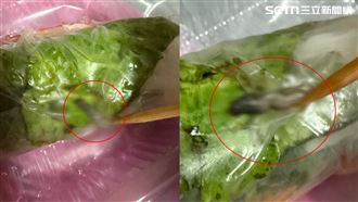 春捲裹肥蟲！苦主已吃2個：怕下肚全家族