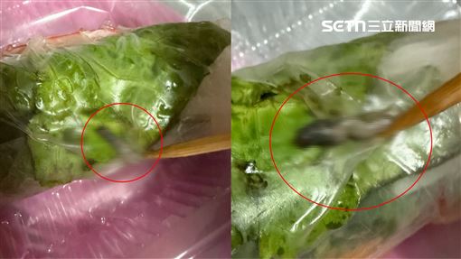 春捲裹肥蟲！苦主已吃2個：怕下肚全家族
