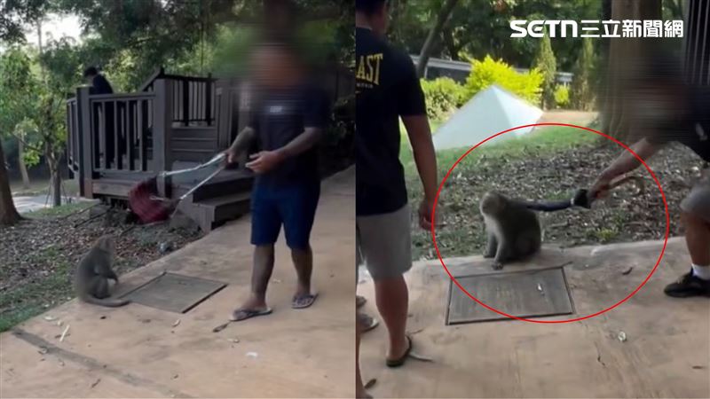 8+9戰獼猴！傘當刀砍畫面曝…市府說話了