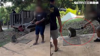 8+9戰獼猴！傘當刀砍畫面曝…市府說話了