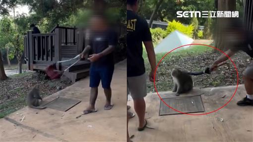 8+9戰獼猴！傘當刀砍畫面曝…市府說話了
