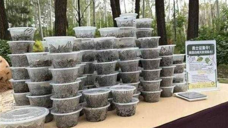 動物園辦抓蟲大賽　一天抓4000隻只拿第二