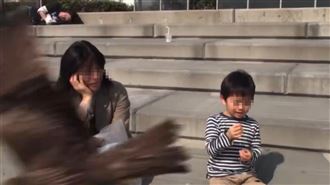 黑鳶高空突襲！日本小男孩麵包被搶爆哭