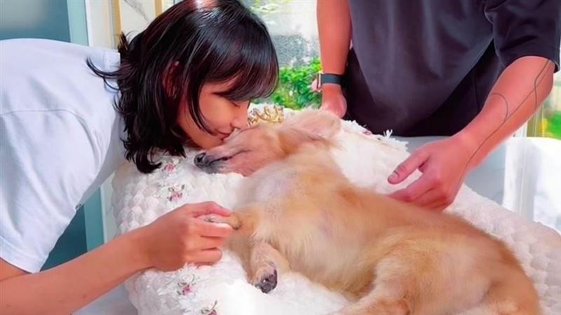 獲核准寵物殯葬園區　洪聞：讓毛孩愛永續