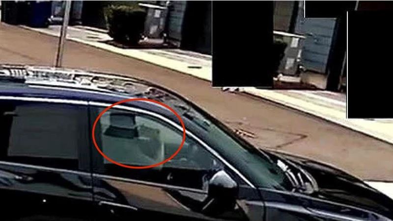 女間諜跟監賴總統兒都拍到啥？FBI全刊出