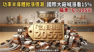 功率半導體掀漲價潮　它目標價喊出205元