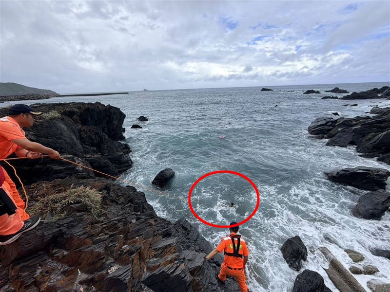 男童在礁岩外側海面載浮載沉，海巡人員站在浪邊精準投擲拋繩袋，全力將男童拉向岸邊。（圖／翻攝畫面）