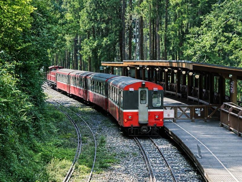 森林火車承載著新人「幸福回家」的喜悅。(圖/飯店旅宿業者提供)