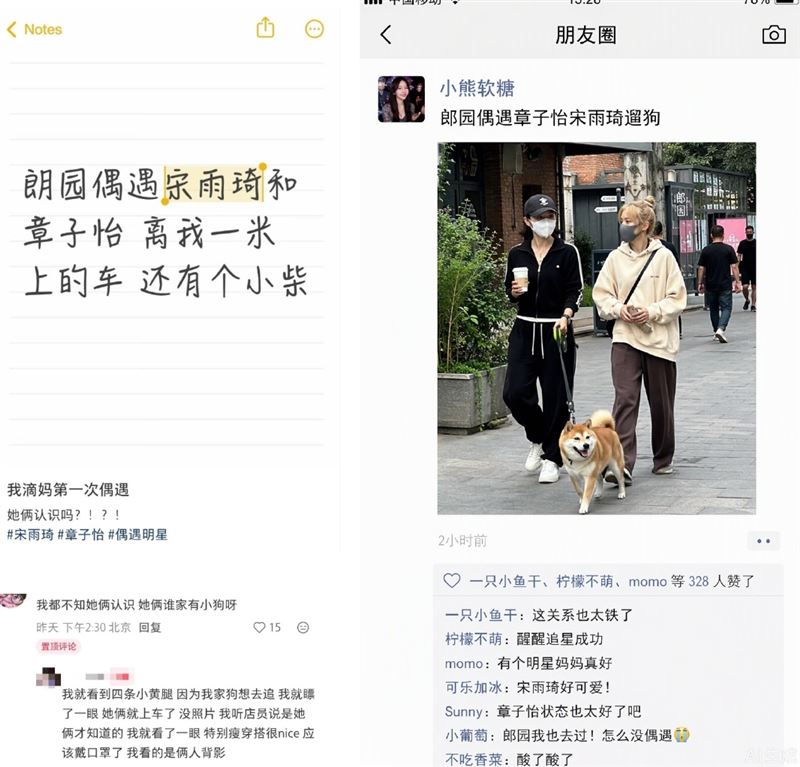 有網友不約而同發現宋雨琦與影后章子怡一同逛街溜狗。(組合圖/翻攝自微博)