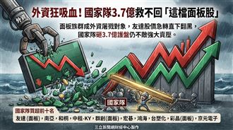 外資狂吸血！國家隊3.7億救不回「這檔」