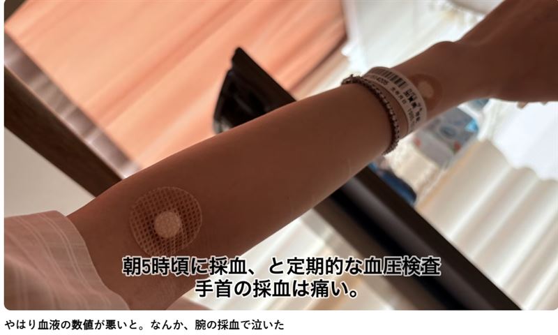 加賀美早紀表示血液數值確實不好。(圖/翻攝自YouTube@kagami_saki226)