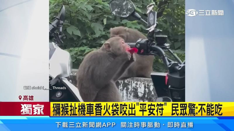 獼猴坐在機車啃香火袋。(圖/翻攝自Threads @shoichi_.__._)