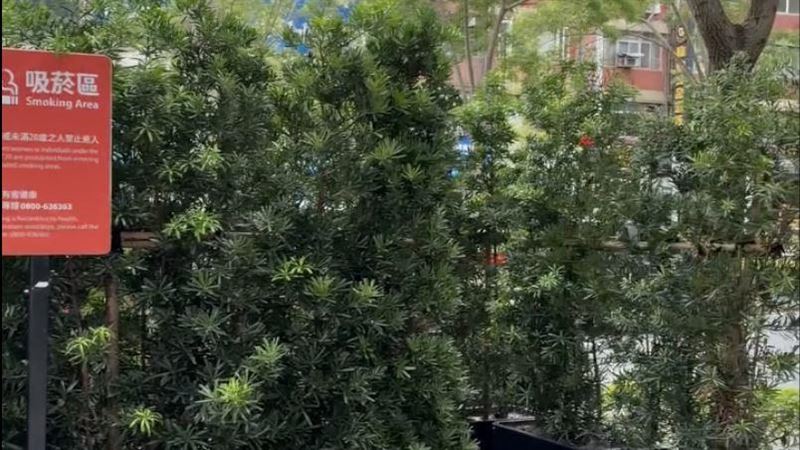 幼兒園旁設吸菸區　老師怒：被蔣萬安氣死