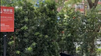 幼兒園旁設吸菸區　老師怒：被蔣萬安氣死