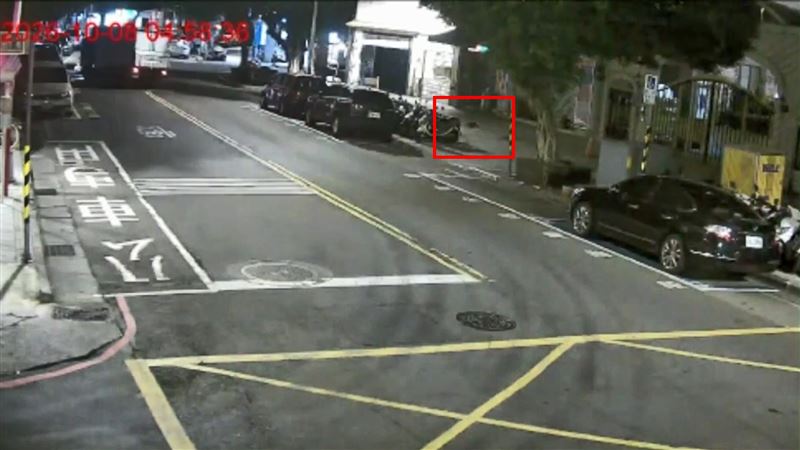 貓咪闖禍後逃走。（圖／翻攝畫面）