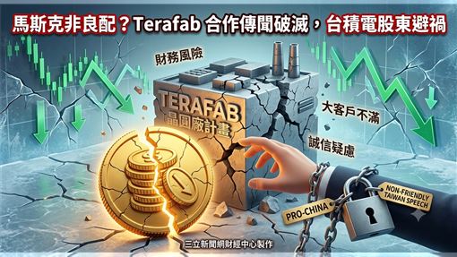 馬斯克親中　外籍副總：非台積電良配