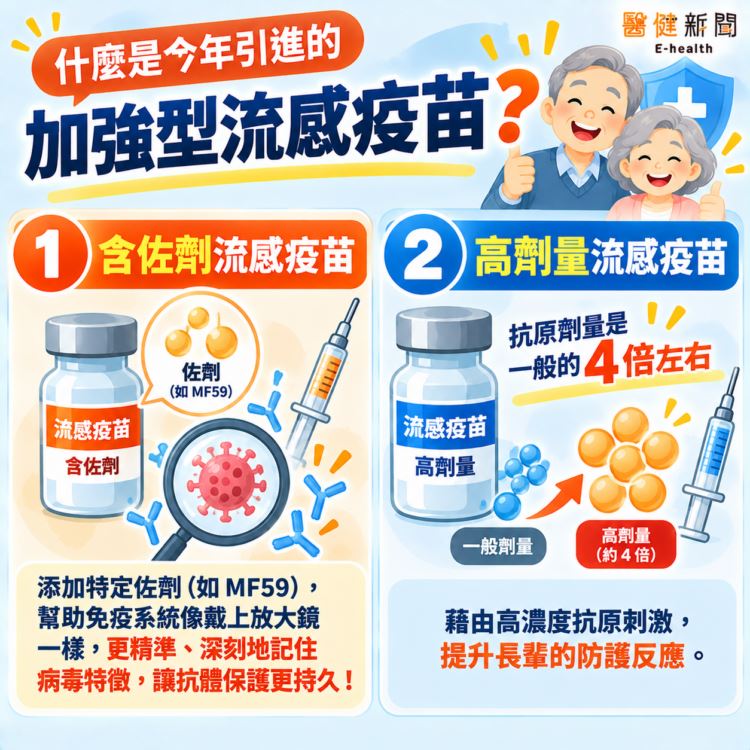 加強型流感疫苗主要可分為「含佐劑流感疫苗」及「高劑量流感疫苗」兩大類。（圖／醫健新聞網提供）