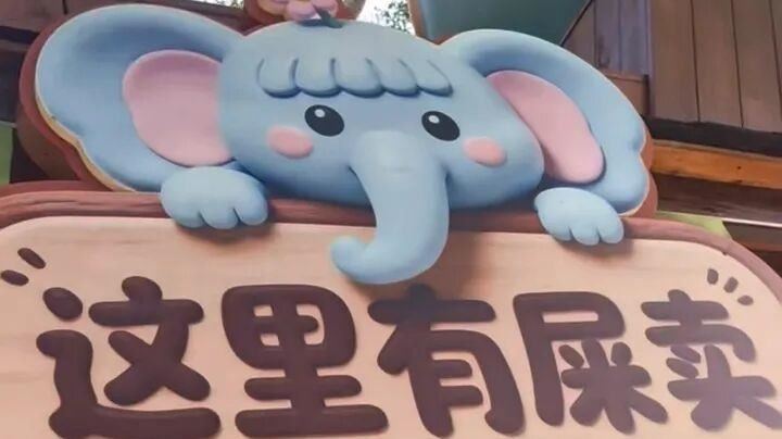 中國獵奇文創品爆紅！吃苦糖、象糞紙熱賣