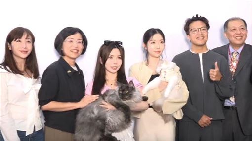 在西雅圖被融化！沈伯洋自曝變得喜歡貓