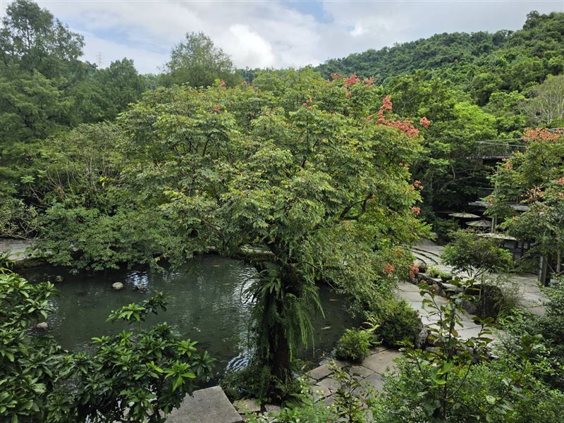 紫森林園區水塘綠樹環繞、魚群悠游,是「鑲嵌地景」的地貌之一