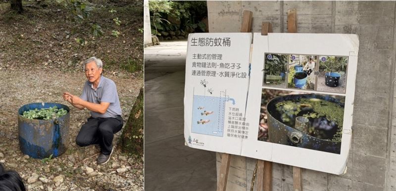 紫森林場長徐文良介紹園區引以為傲的「生態防蚊桶」,利用魚吃孑孓減少蚊子數量