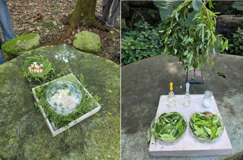 一顆柚子不再只是單純的農作物,也能延伸出地方特色、飲食文化與產業價值