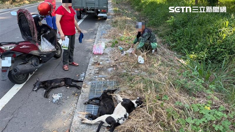 動保處表示,將會同歸仁分局警方查辦到底。(圖/翻攝畫面)