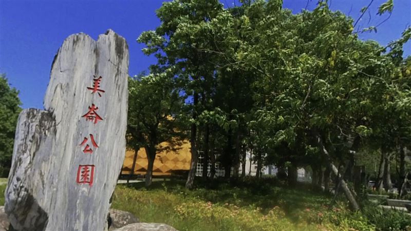 美崙公園傳砍119樹　北市府駁斥揭真相
