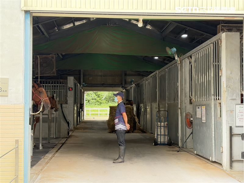 國家免疫馬匹畜牧場座落屏東科技大學校園,見證台灣抗蛇毒血清製造逐步科學化、制度化。(圖/記者簡浩正攝影)