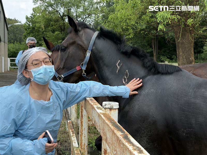 工作人員向我們訴說,每匹馬個性都不同。(圖/記者簡浩正攝影)