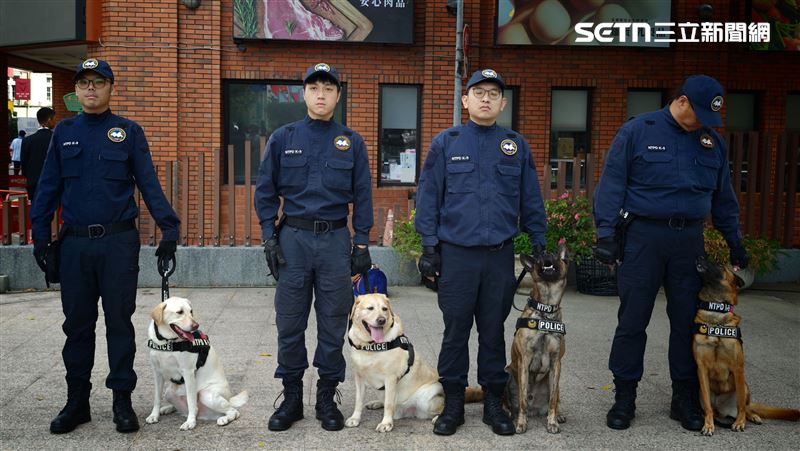 雙十國慶最萌嬌點　警犬搜救犬首參與遊行