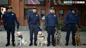 雙十國慶最萌嬌點　警犬搜救犬首參與遊行