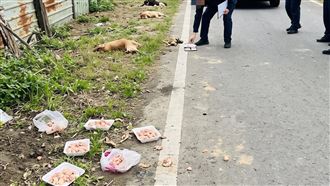 運將農藥摻肉投毒奪6命！飼主替牠們復仇