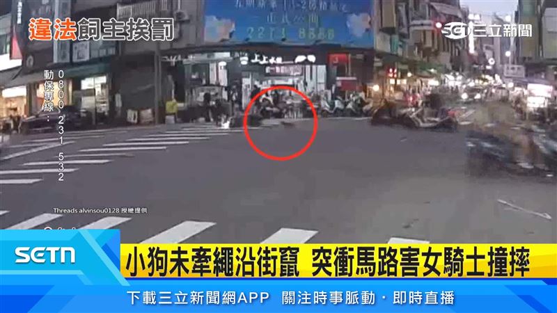 台中西區9日傍晚發生遛狗未牽繩事故,許姓飼主飼養的小狗突然從中美街衝上向上路,導致女騎士反應不及撞上倒地。(圖/翻攝自Threads @alvinsou0128)