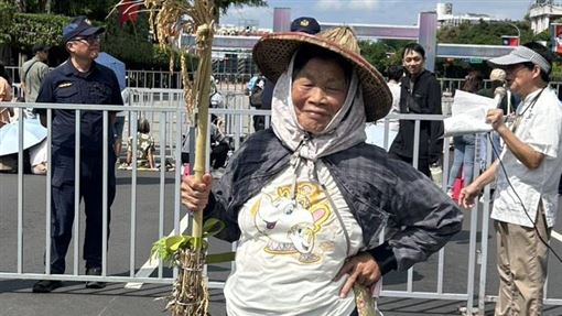 10萬樹恐被毀　83歲阿嬤參選陳情賴清德