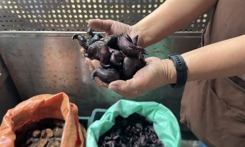 果菜市場攤商表示願退貨，但對方到處撒菱角的行為令她感到害怕。（圖／翻攝畫面）