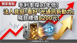 毛利率跌13年新低！法人1原因仍挺大立光