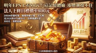 南亞科漲價潮擋不住　目標價上看800元！