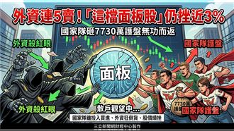 外資連5賣！國家隊7730萬難護這檔面板股