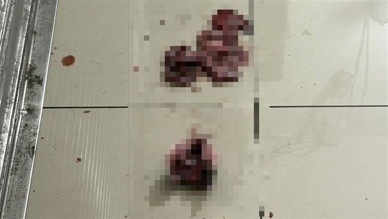新莊某里長辦公室遭砸！血淋淋內臟攤大門