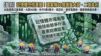 記憶體恐慌賣壓！國家隊21億護盤失利