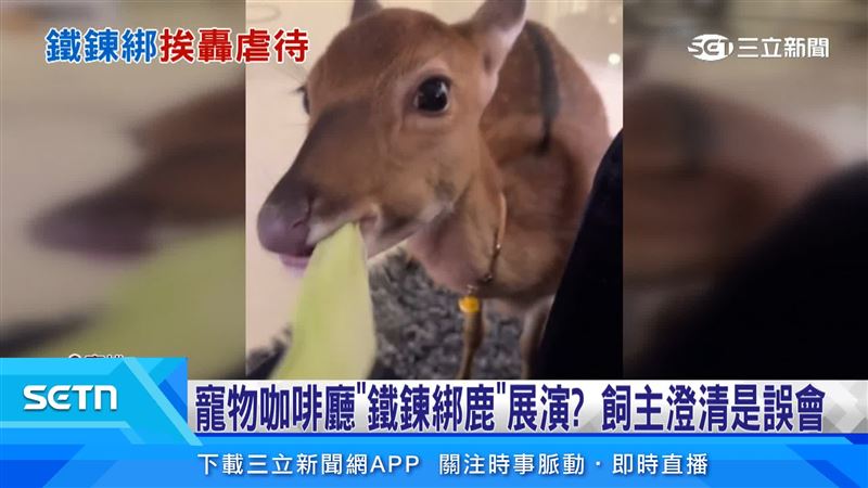 飼主則澄清，自己在對面寵物咖啡廳二樓做生意，當天只是讓梅花鹿到樓下曬太陽，沒想到引發誤會，造成店家與自己困擾