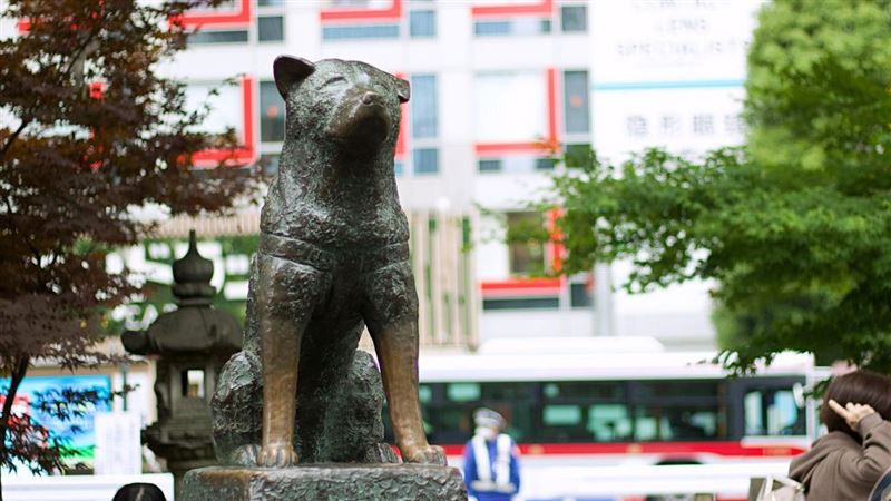 收入多少能每月飛日本？網曝重點不是錢