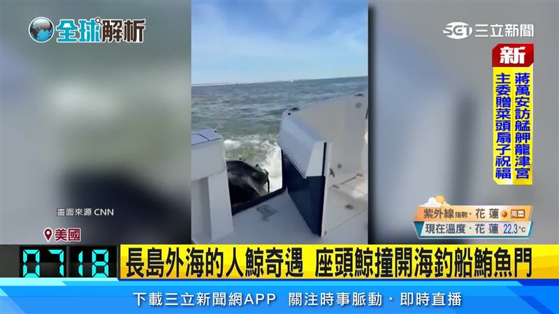 鯨魚衝撞海釣船 (圖/CNN)