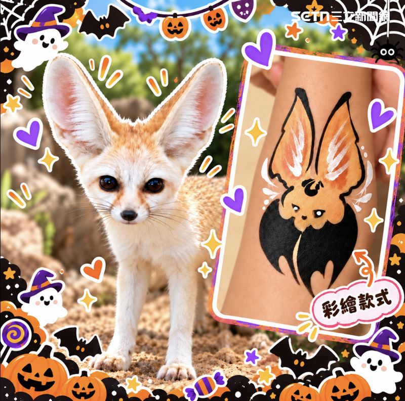 耳廓狐化身吸血鬼,陪大家一起在動物園過萬聖節。(圖/頑皮世界提供)