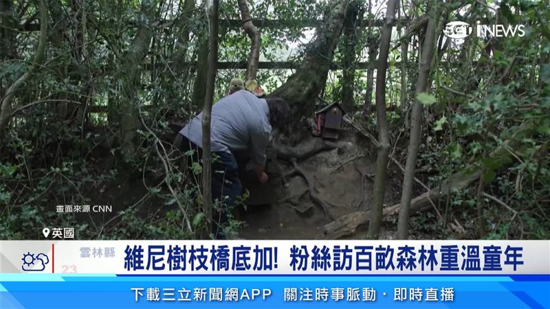小熊維尼和朋友們共度時光的百畝森林，真實場景就在英格蘭的亞士頓森林，自然環境有專屬團隊維護。（圖／CNN）